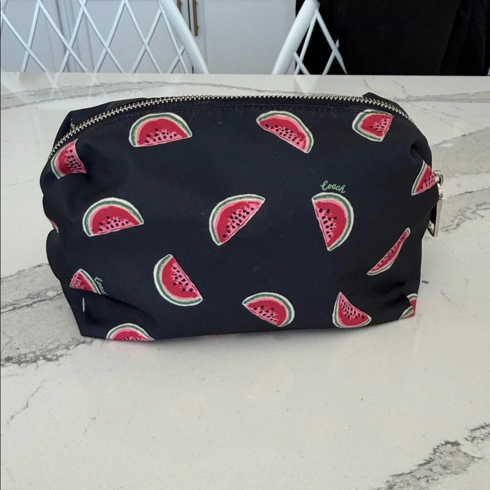 Coach Large Pouch with Watermelon Print